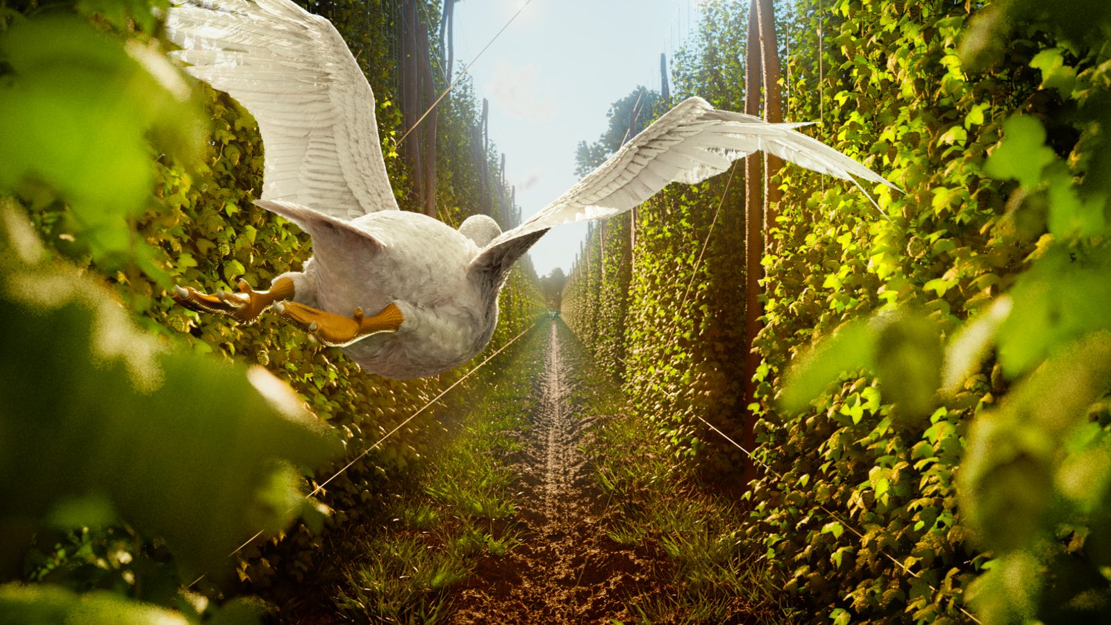 CG goose flying through a hop field